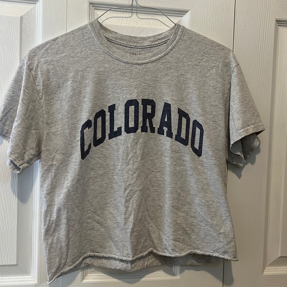 Brandy Melville Colorado Crop Tee, One Sized